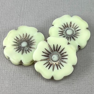 Large, Creamy White Czech glass table cut flower beads, silky opaline, purple bronze starburst, hibiscus - 22mm - 1 or 2 pcs - FB1739-b174