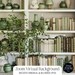 Zoom Background Bookshelf With Plants Green Virtual Bookshelf for Zoom ...