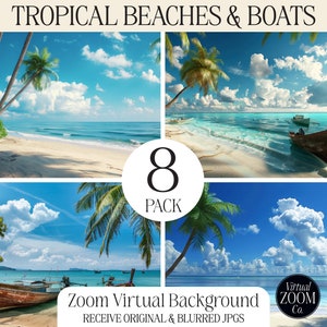 Zoom Background Beach Zoom Virtual Background Beaches Zoom Tropical Image Zoom Tropical Beach Zoom Beaches Palm Tree Zoom Video Conference