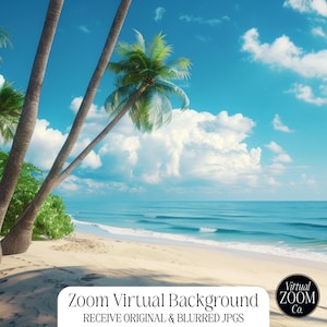 Zoom Background Beach Zoom Virtual Background Beaches Zoom Tropical Image Zoom Tropical Beach Zoom Beaches Palm Tree Zoom Video Conference