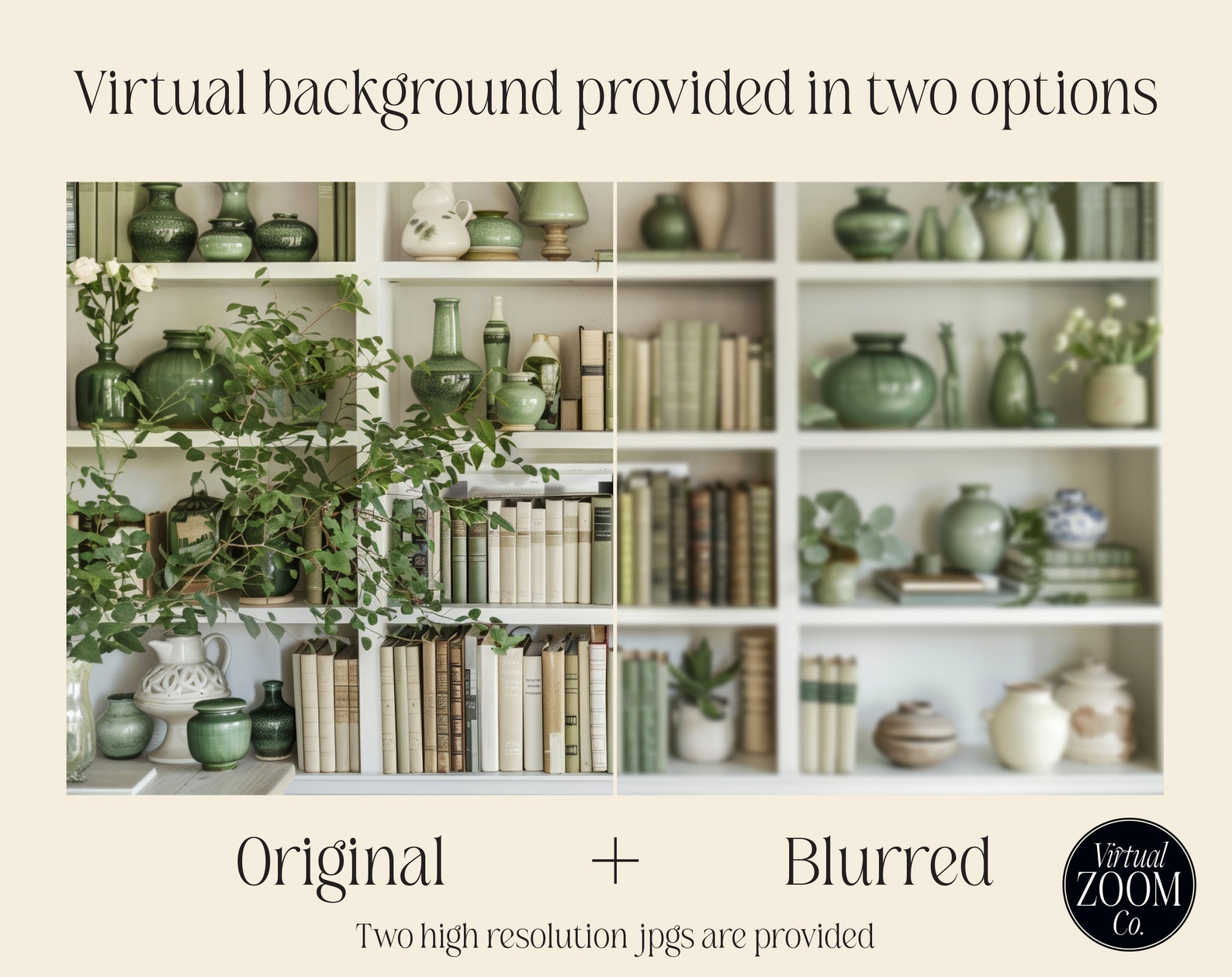 Zoom Background Bookshelf With Plants Green Virtual Bookshelf for Zoom ...