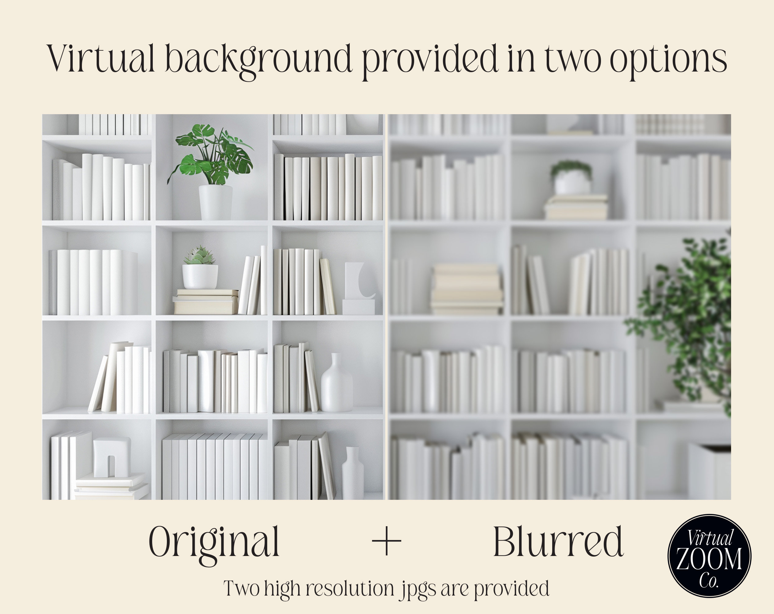 Zoom Background White Bookshelf With Plants Virtual Background ...