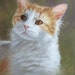 see more listings in the Pet Portraits section