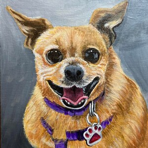 hand painted custom pet portrait, memorial painting, oil painting, dog cat any pet from your photo unique gift idea FREE SHIPPING in US image 3