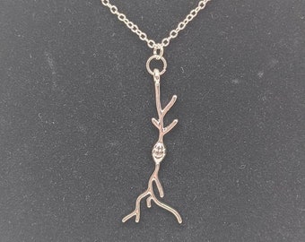 Spindle neuron necklace