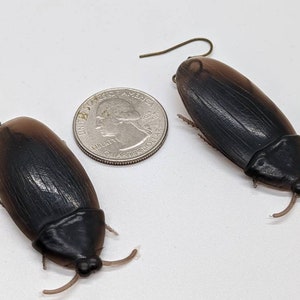 Rubber cockroach earrings