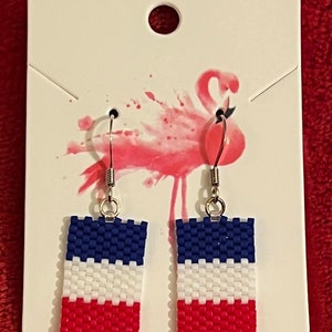 France Flag Earrings