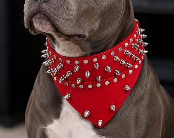 パラコード®製のパーソナライズされた犬用首輪。名前入り。本革または