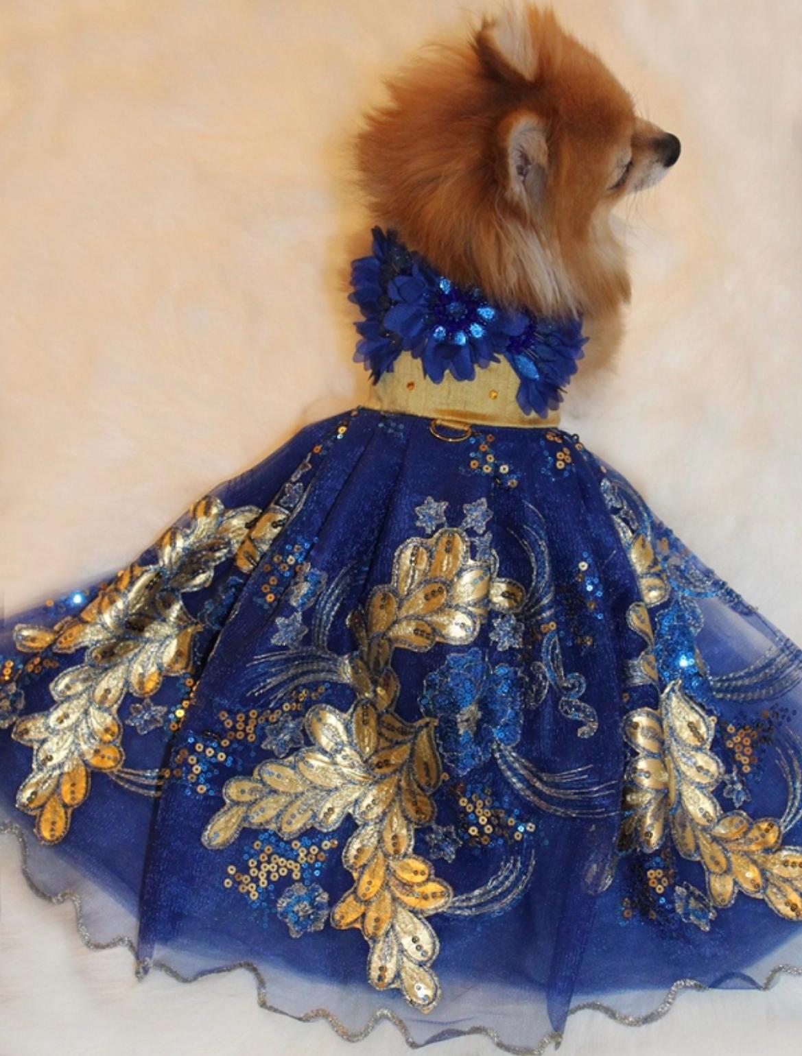 Royal blue dog dress sales