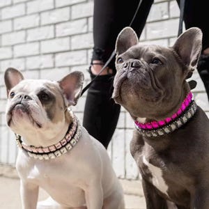 Diamond Dog Collar, Cat Rhinestone Necklace, Pet Accessories