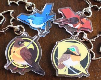 Superhero Robin Robins Acrylic Charms