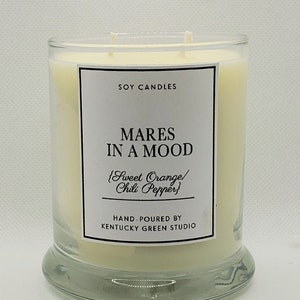 Mares in a Mood Soy Wax Candle Gift for Riders Instructors Horse Lovers image 1