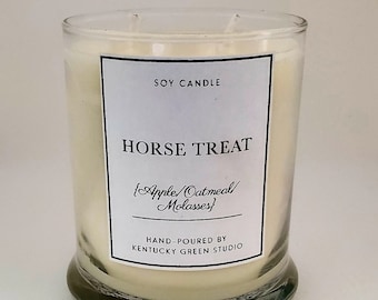 Horse Treat Soy Wax Candle Equine Gift Memories
