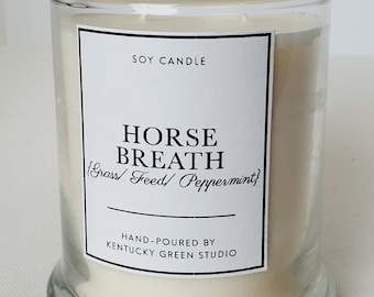 Candela in cera di soia Horse Breath, regalo per gli amanti dei cavalli, festa della mamma, mamma