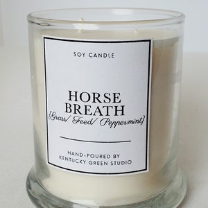 Horse Breath Soy Wax Candle Gift for Horse Lovers Mothers Day Mom image 1