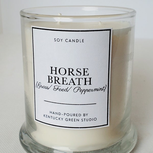 Horse Breath Soy Wax Candle Gift for Horse Lovers Mothers Day Mom