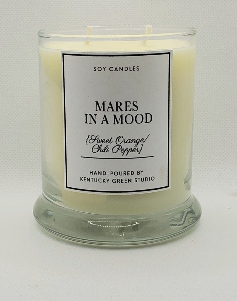 Mares in a Mood Soy Wax Candle Gift for Riders Instructors Horse Lovers image 1