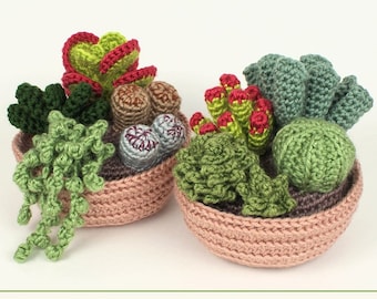 Succulent Collections 1 and 2, eight realistic potted plant CROCHET PATTERNS digital PDF file download