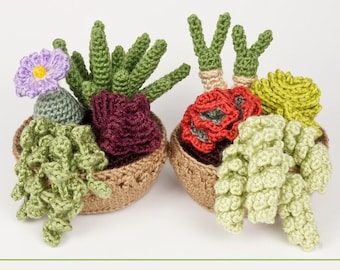 Succulent Collections 3 and 4, eight realistic potted plant CROCHET PATTERNS digital PDF file download