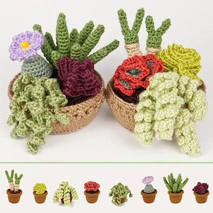 Succulent Collections 3 and 4, eight realistic potted plant CROCHET PATTERNS digital PDF file download