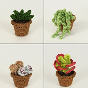 Succulent Collections 1 and 2, eight realistic potted plant CROCHET PATTERNS digital PDF file download image 4