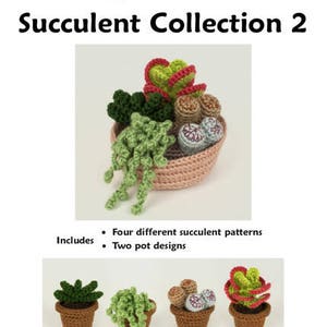 Succulent Collections 1 and 2, eight realistic potted plant CROCHET PATTERNS digital PDF file download image 10