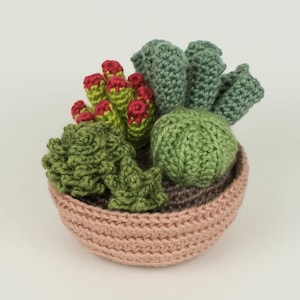 Succulent Collections 1 and 2, eight realistic potted plant CROCHET PATTERNS digital PDF file download image 5