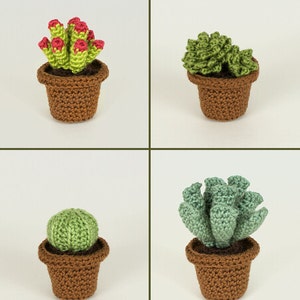 Succulent Collections 1 and 2, eight realistic potted plant CROCHET PATTERNS digital PDF file download image 3