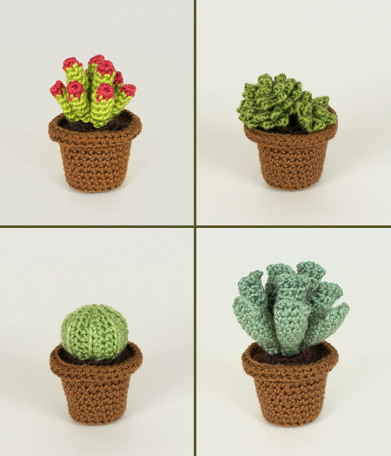 Succulent Collections 1 and 2, eight realistic potted plant CROCHET PATTERNS digital PDF file download image 3