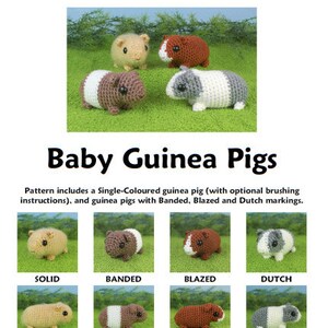 Baby Guinea Pigs four amigurumi guinea pig CROCHET PATTERNS digital PDF file download image 10