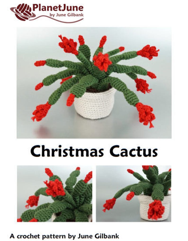 Christmas Cactus amigurumi potted plant CROCHET PATTERN digital PDF file download image 6