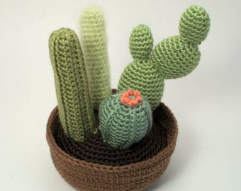 Cactus Collection 2, four realistic potted plant CROCHET PATTERNS digital PDF file download