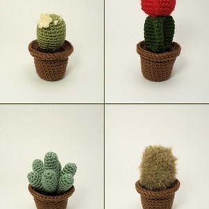 Cactus Collections, eight realistic potted plant CROCHET PATTERNS digital PDF file download image 3