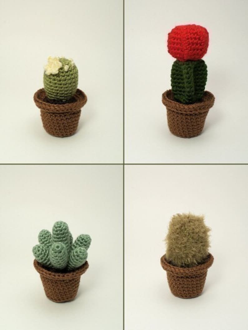 Cactus Collections, eight realistic potted plant CROCHET PATTERNS digital PDF file download image 3