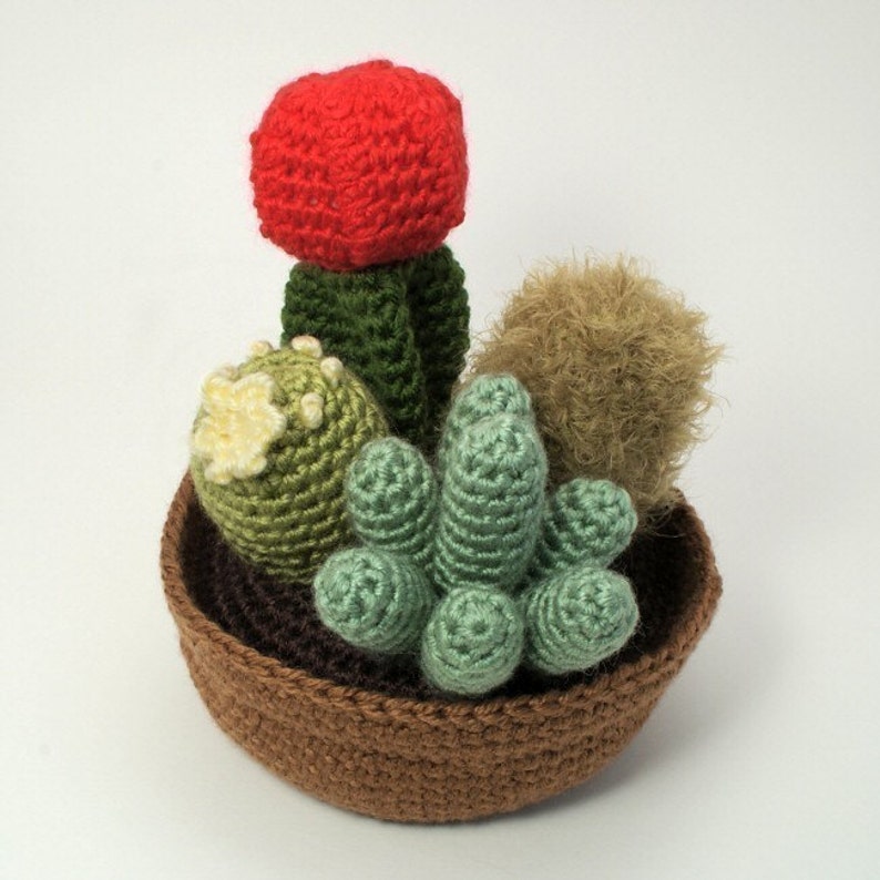 Cactus Collections, eight realistic potted plant CROCHET PATTERNS digital PDF file download image 5