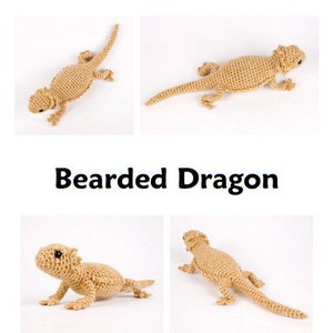 Bearded Dragon lizard amigurumi CROCHET PATTERN digital PDF file download image 6