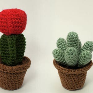 Cactus Collections, eight realistic potted plant CROCHET PATTERNS digital PDF file download image 7