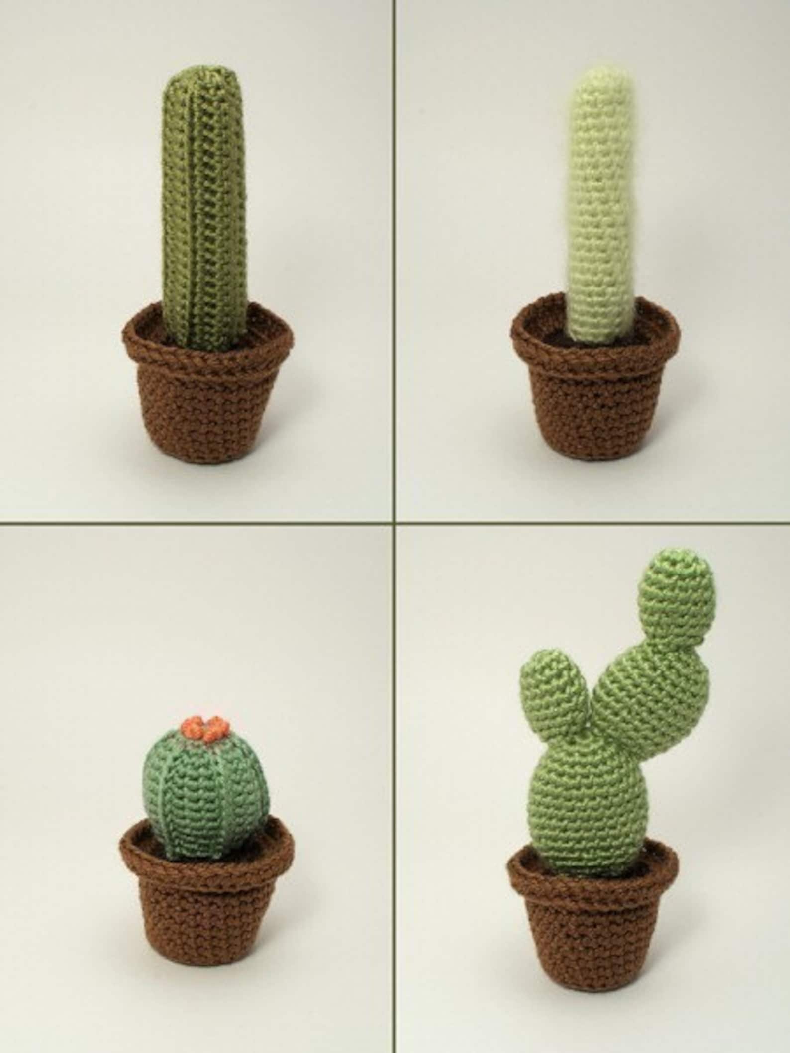 Cactus Collections Eight Realistic Potted Plant CROCHET Etsy