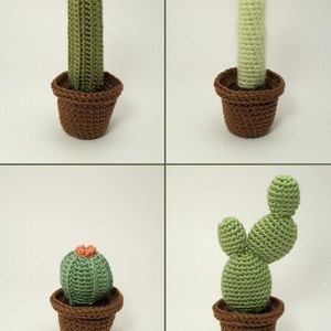 Cactus Collections, eight realistic potted plant CROCHET PATTERNS digital PDF file download image 4