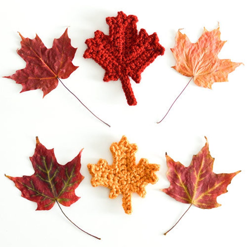 Maple Leaf Collection & Canadian Flag two realistic maple leaves plus bonus flag background CROCHET PATTERNS digital PDF file download image 5