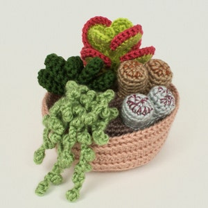 Succulent Collection 2, four realistic potted plant CROCHET PATTERNS digital PDF file download