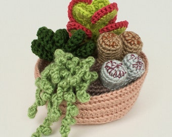 Succulent Collection 2, four realistic potted plant CROCHET PATTERNS digital PDF file download