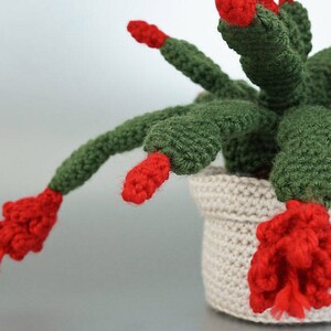 Christmas Cactus amigurumi potted plant CROCHET PATTERN digital PDF file download image 5