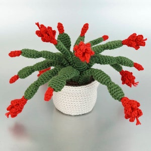 Christmas Cactus amigurumi potted plant CROCHET PATTERN digital PDF file download