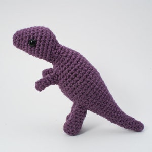 Tyrannosaurus Rex - amigurumi dinosaur CROCHET PATTERN digital PDF file download