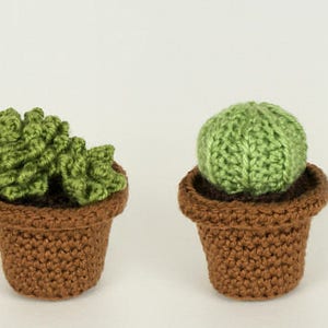 Succulent Collections 1 and 2, eight realistic potted plant CROCHET PATTERNS digital PDF file download image 7