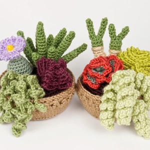Succulent Collections 3 and 4, eight realistic potted plant CROCHET PATTERNS digital PDF file download