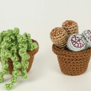 Succulent Collections 1 and 2, eight realistic potted plant CROCHET PATTERNS digital PDF file download image 8