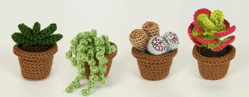 Succulent Collections 1 and 2, eight realistic potted plant CROCHET PATTERNS digital PDF file download image 8