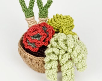 Succulent Collection 4, four realistic potted plant CROCHET PATTERNS digital PDF file download